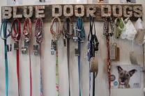 Blue Door Dogs - a range of products for your pooch